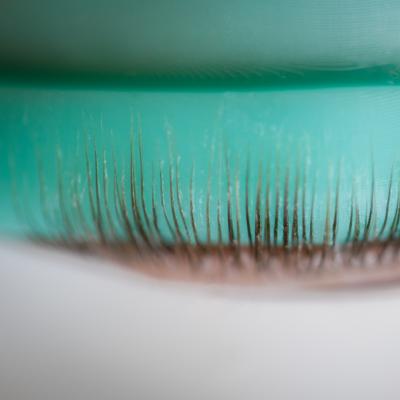 Lash Lift